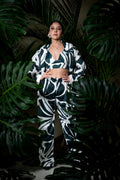 Set Monstera